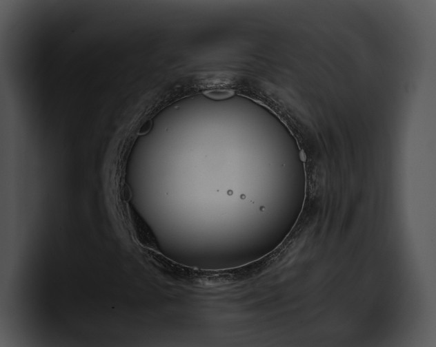 X0000100411441200806061331