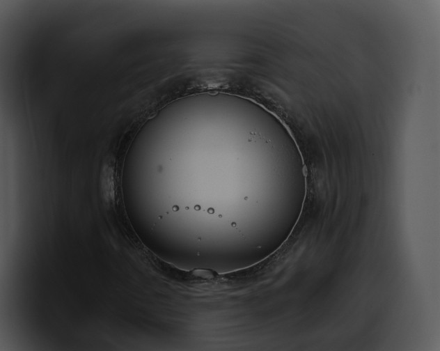 X0000100411442200806061331