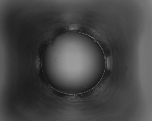 X0000100411443200806061331