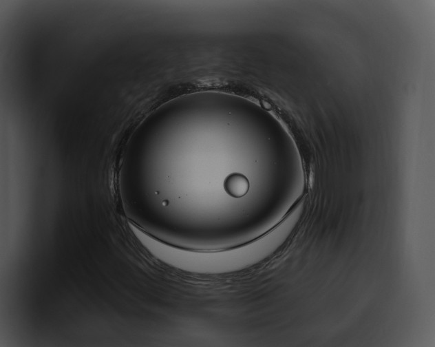 X0000100411444200806061331