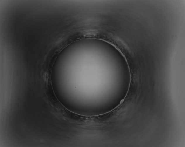 X0000100411445200806061331