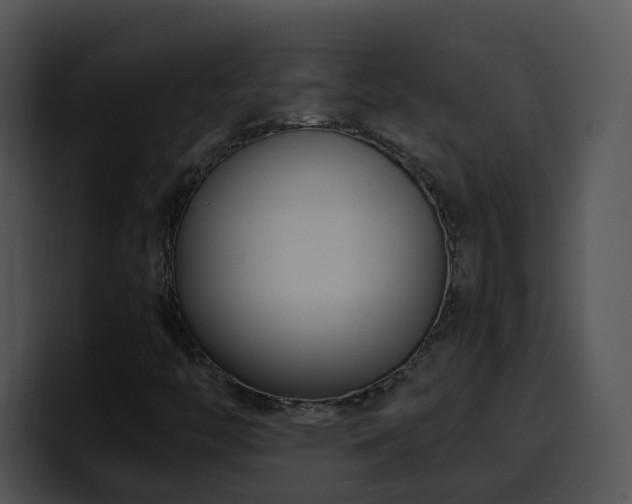 X0000100411446200806061331