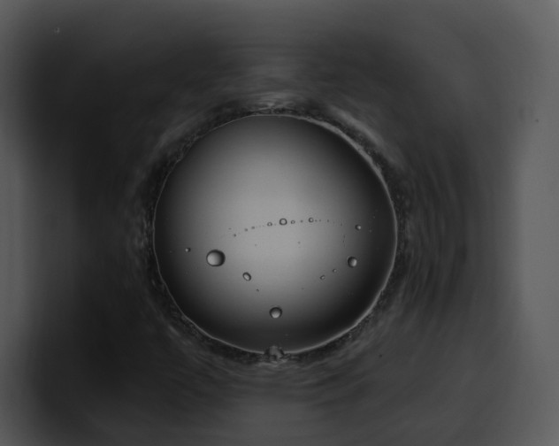 X0000100411447200806061331