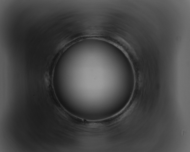 X0000100411449200806061331