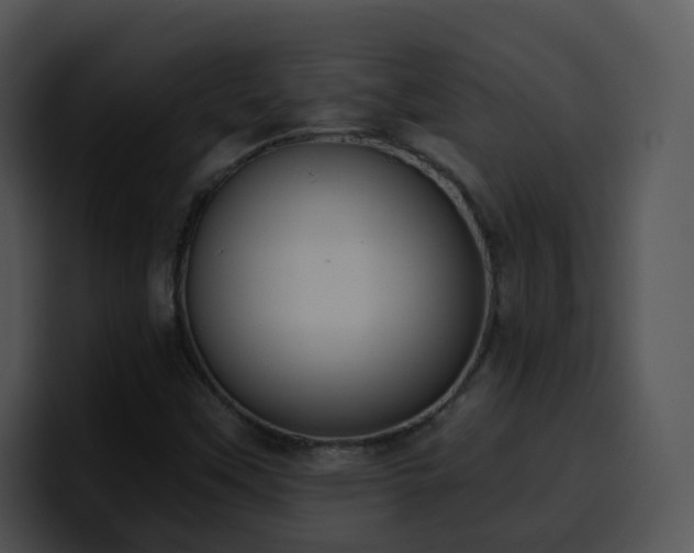 X0000100411451200806061331