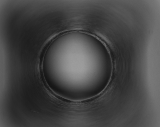 X0000100411452200806061331