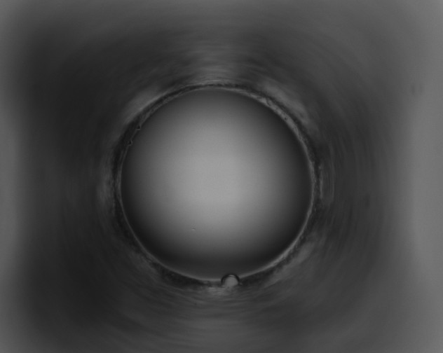 X0000100411453200806061331