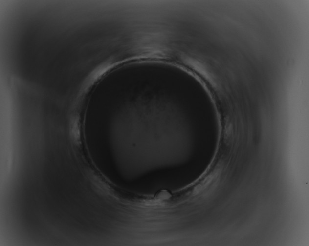 X0000100411455200806061331