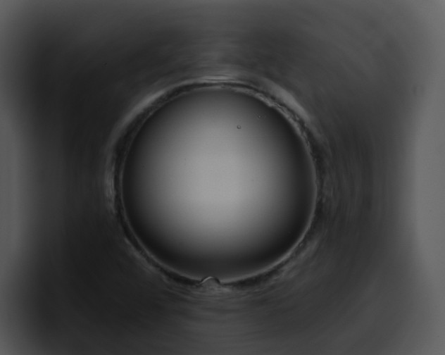 X0000100411456200806061331