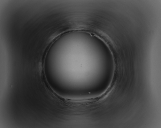 X0000100411457200806061331