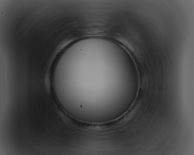 X0000100411458200806061331