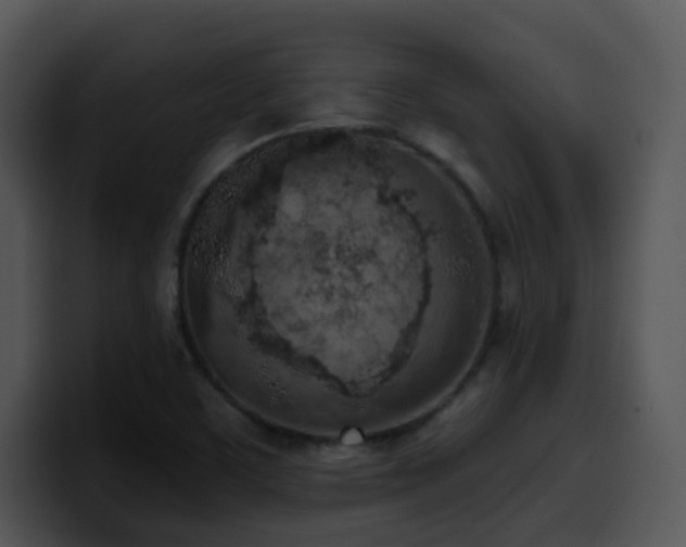 X0000100411459200806061331