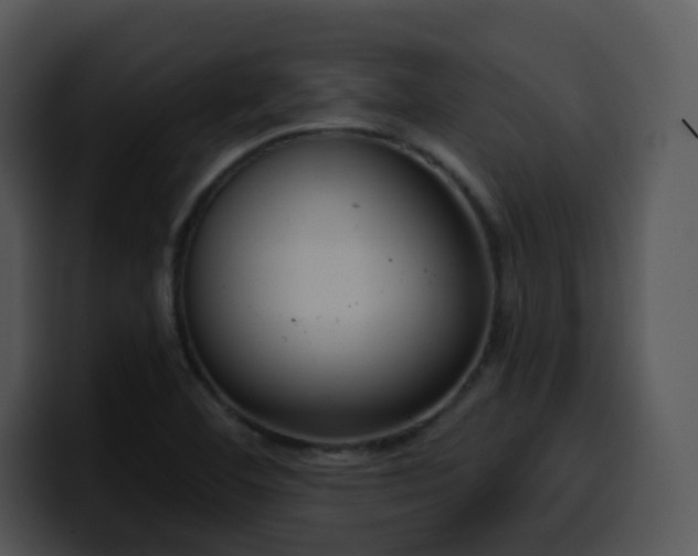 X0000100411460200806061331
