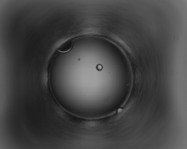X0000100411461200806061331