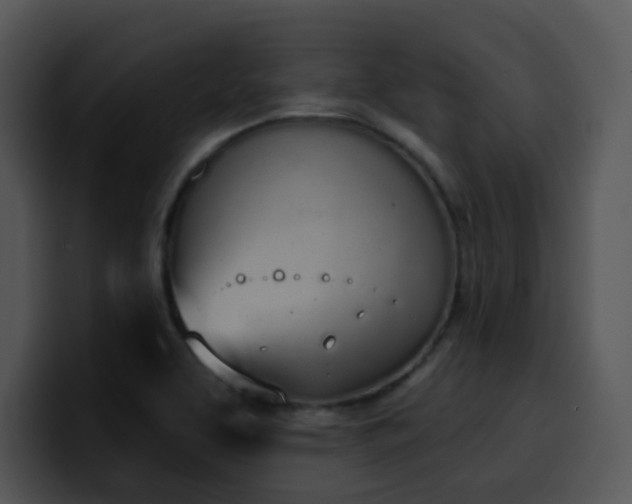 X0000100411463200806061331