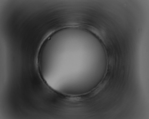 X0000100411466200806061331