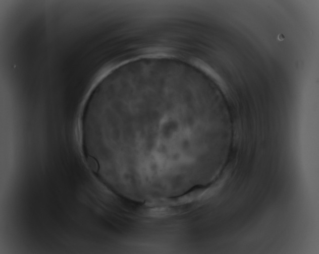 X0000100411467200806061331
