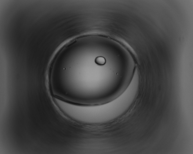 X0000100411468200806061331