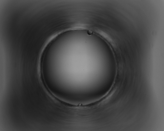 X0000100411469200806061331