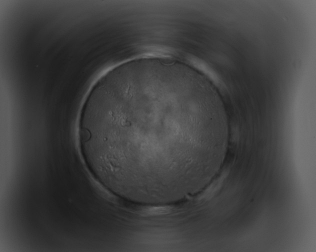 X0000100411471200806061331