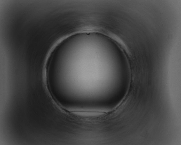 X0000100411472200806061331
