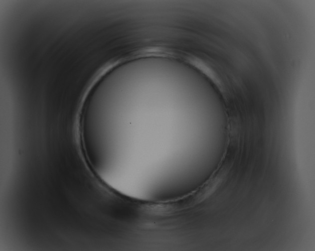 X0000100411474200806061331