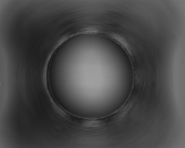X0000100411475200806061331