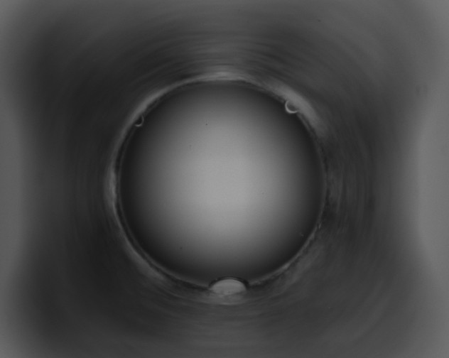 X0000100411476200806061331