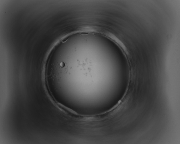 X0000100411477200806061331