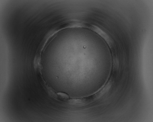 X0000100411481200806061330