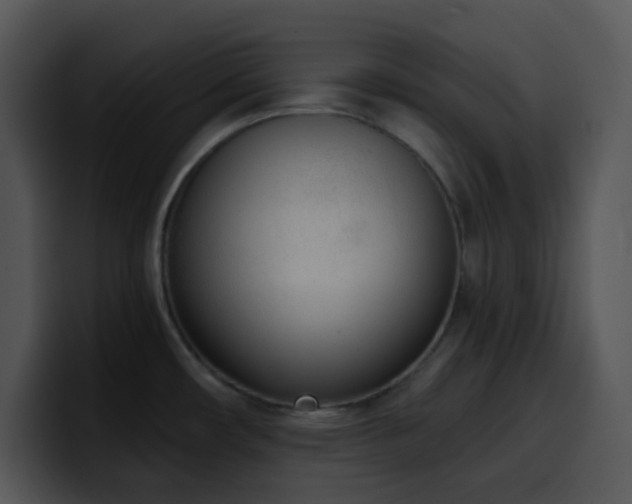 X0000100411482200806061330