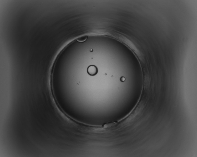 X0000100411484200806061330