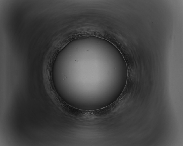 X0000100411489200806061330