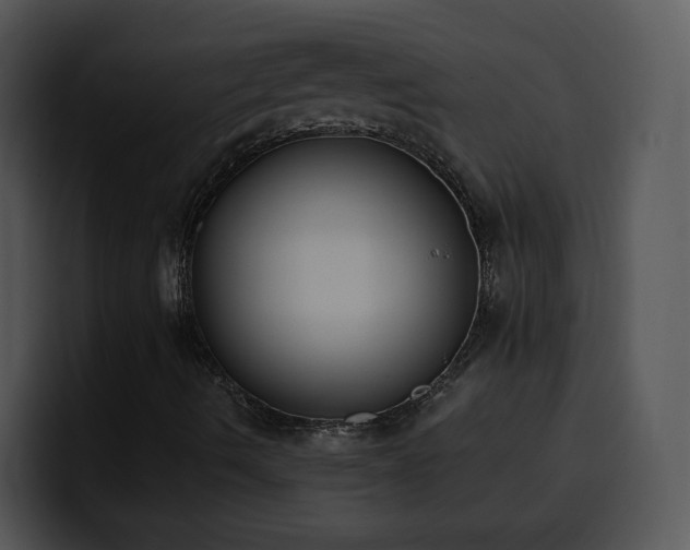 X0000100411490200806061330