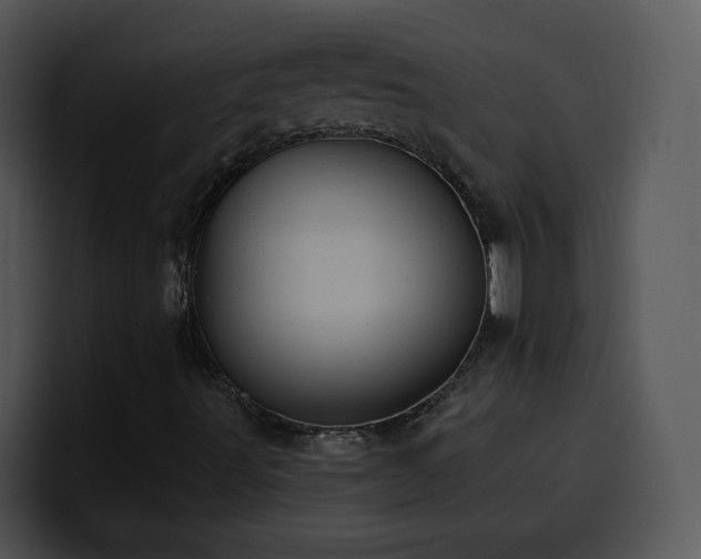 X0000100411491200806061330