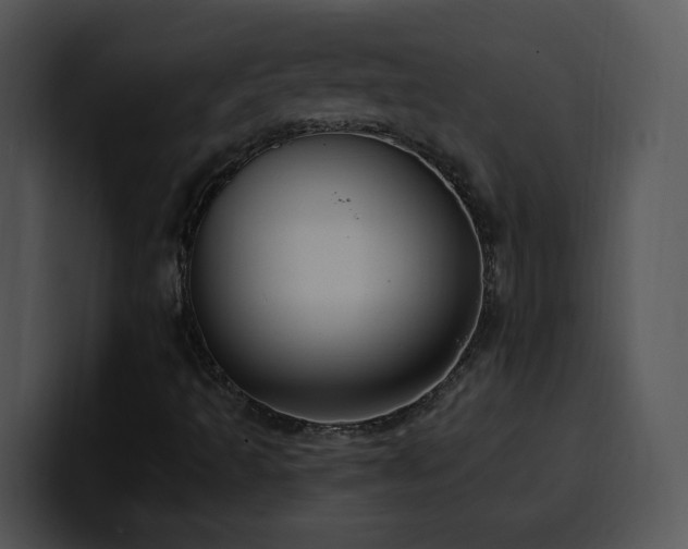 X0000100411493200806061330