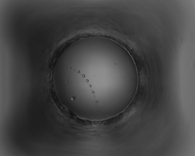 X0000100411494200806061330