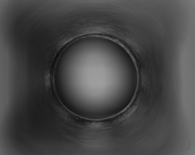 X0000100411497200806061330