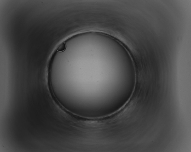 X0000100411508200806061330