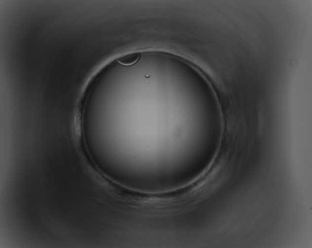 X0000100411510200806061330