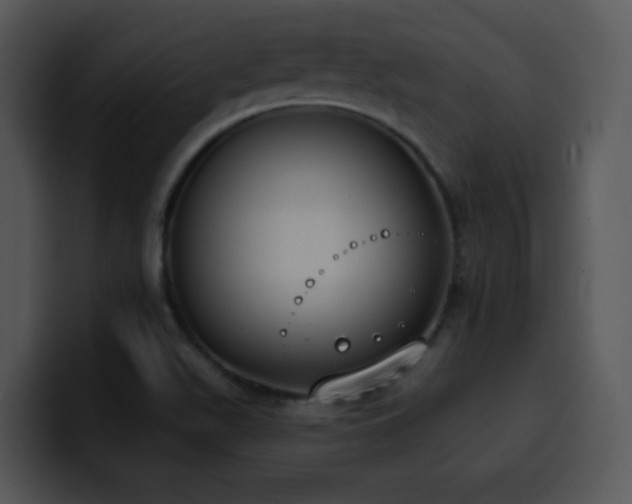 X0000100411511200806061330