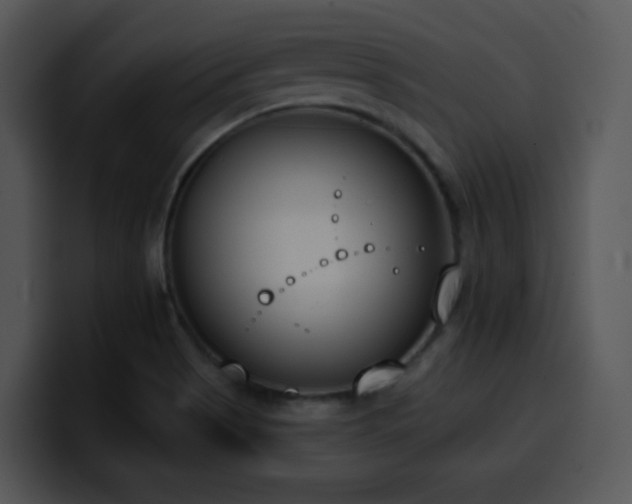 X0000100411513200806061330