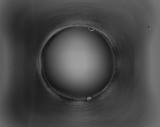 X0000100411515200806061330