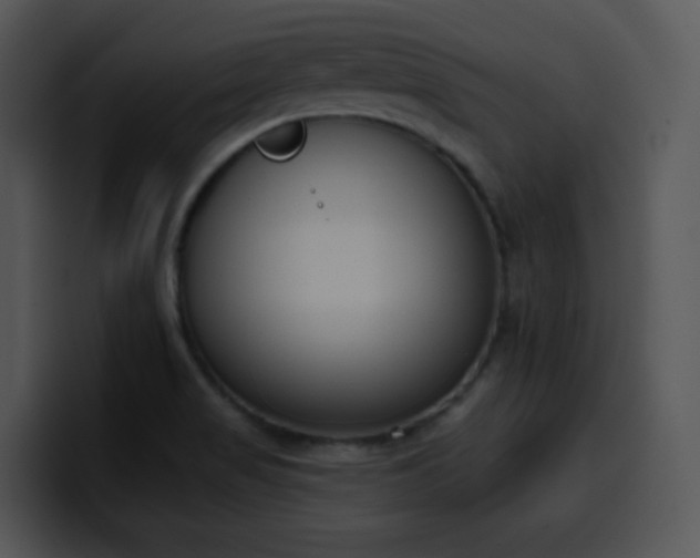 X0000100411517200806061330