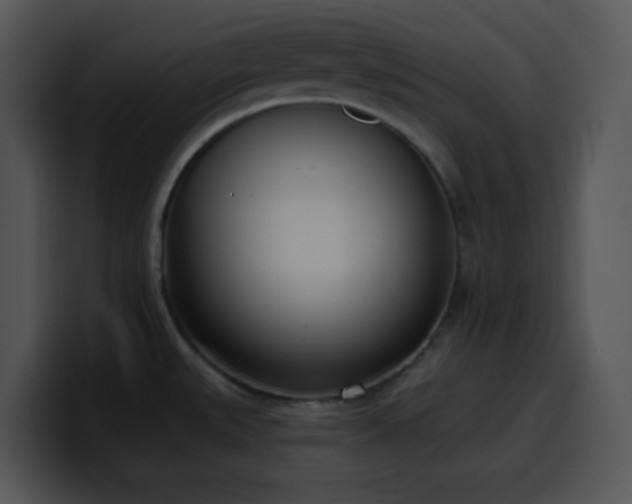 X0000100411527200806061330