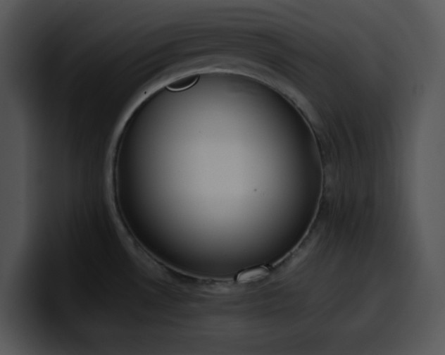 X0000100411530200806061330