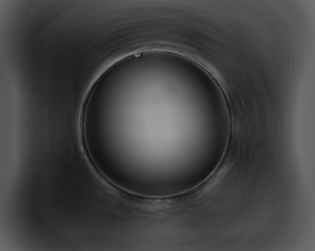 X0000100411533200806061330