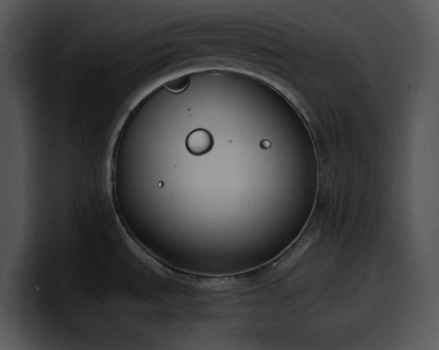 X0000100411535200806061330