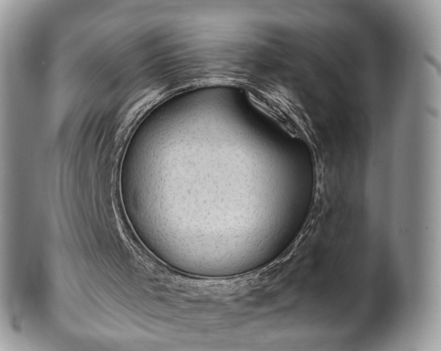 X0000100410001200806131047