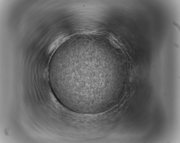 X0000100410002200806131047